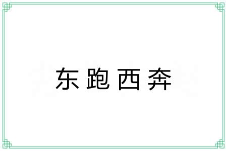 东跑西奔