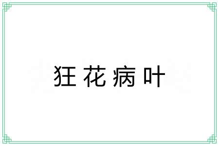 狂花病叶