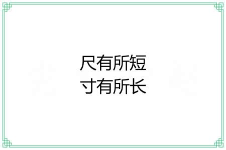 尺有所短寸有所长 尺有所短寸有所长
