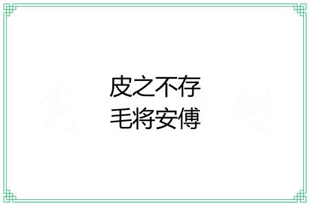 皮之不存毛将安傅