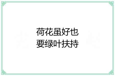 荷花虽好也要绿叶扶持